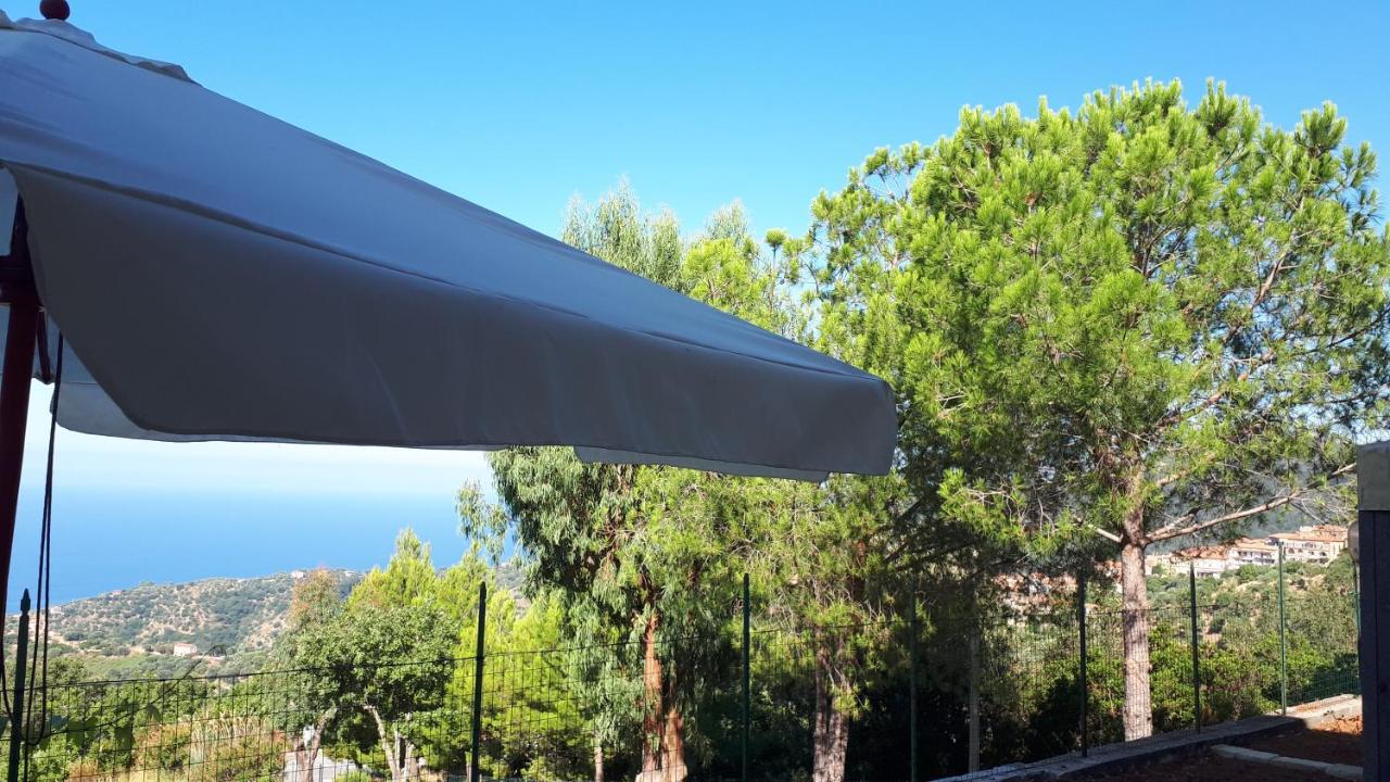Le Pigne casa vacanze. Pollica Esterno foto