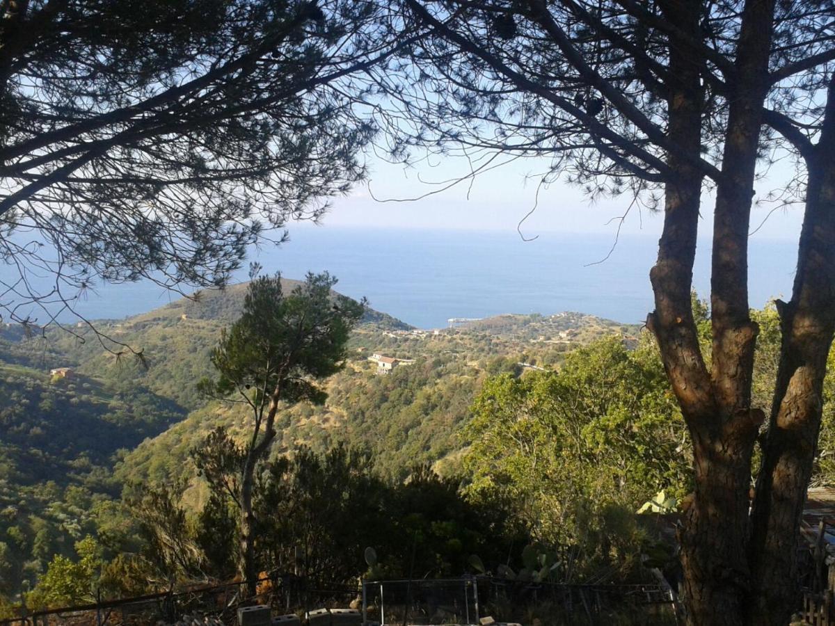 Le Pigne casa vacanze. Pollica Esterno foto